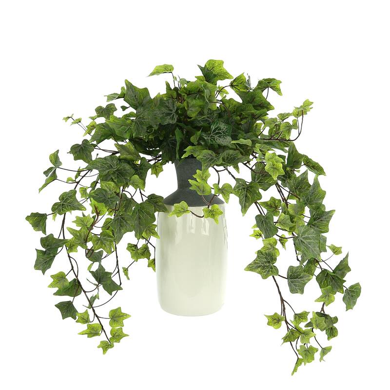 Organic Modern Ivy Arrangement in a Tall Ceramic Vase - Green