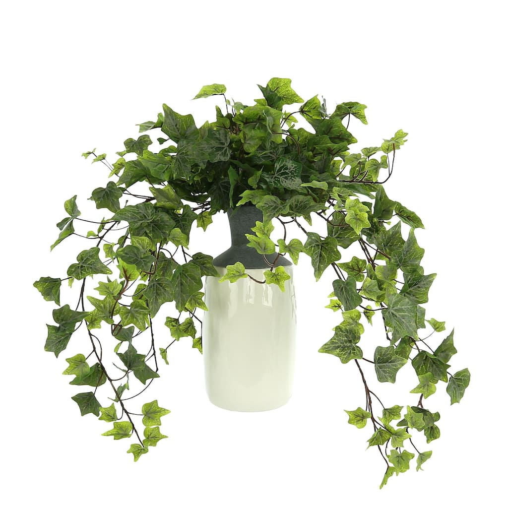 Organic Modern Ivy Arrangement in a Tall Ceramic Vase - Green