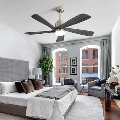 52 Inch Modern Ceiling Fan