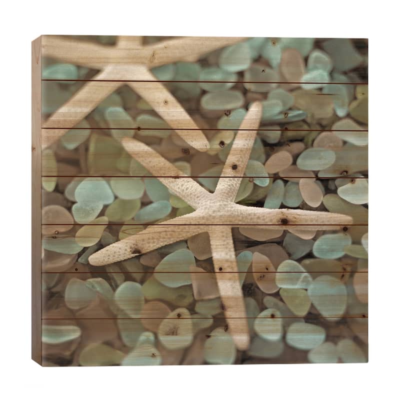 Aquatic 1 Print On Wood by Alan Blaustein - Multi-Color - 26x26x1.5
