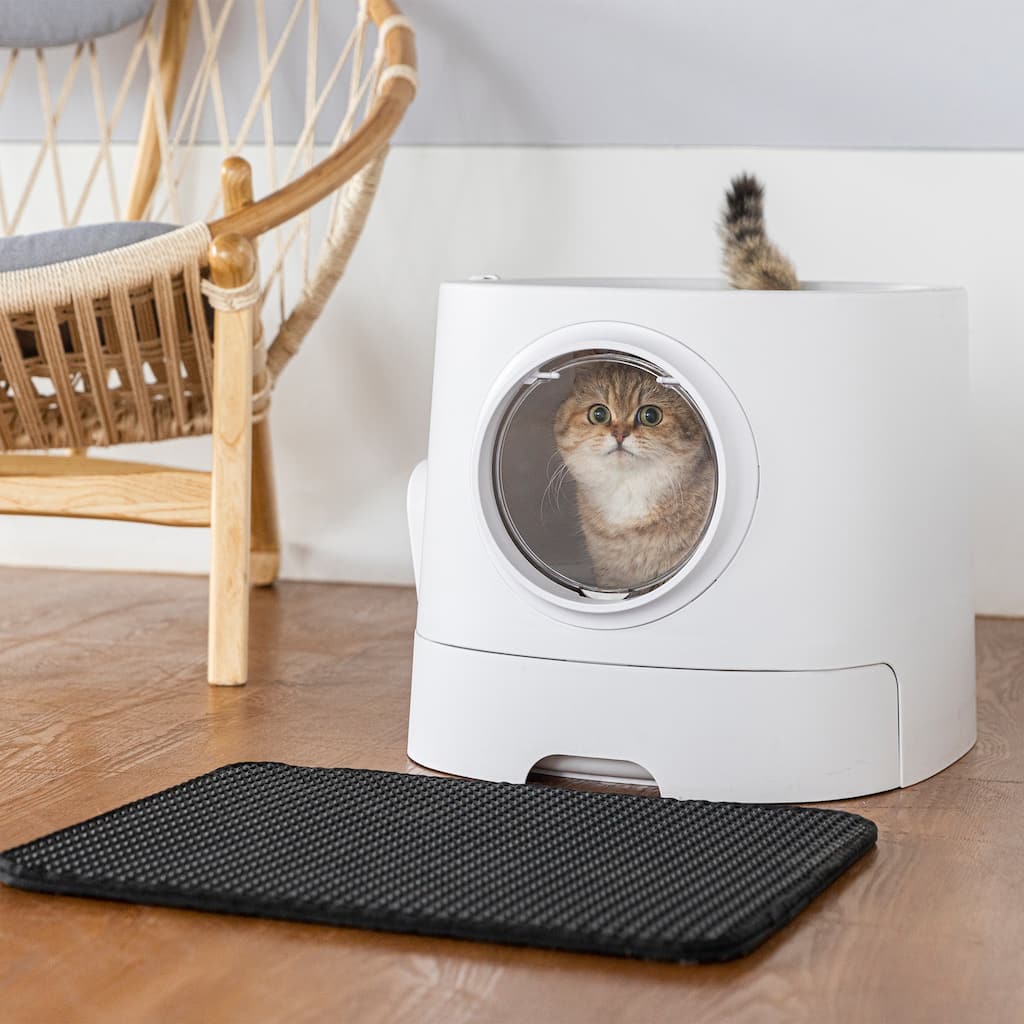 Extra Large Cat Litter Box with Scoop, Front Entry and Top Exit, Litter Mat Included