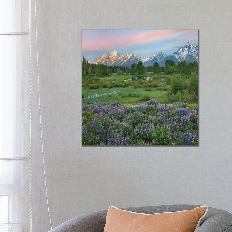 iCanvas "Lupine In Meadow, Grand Teton National Park, Wyoming" by Tim Fitzharris Canvas Print - 26x26x1.5