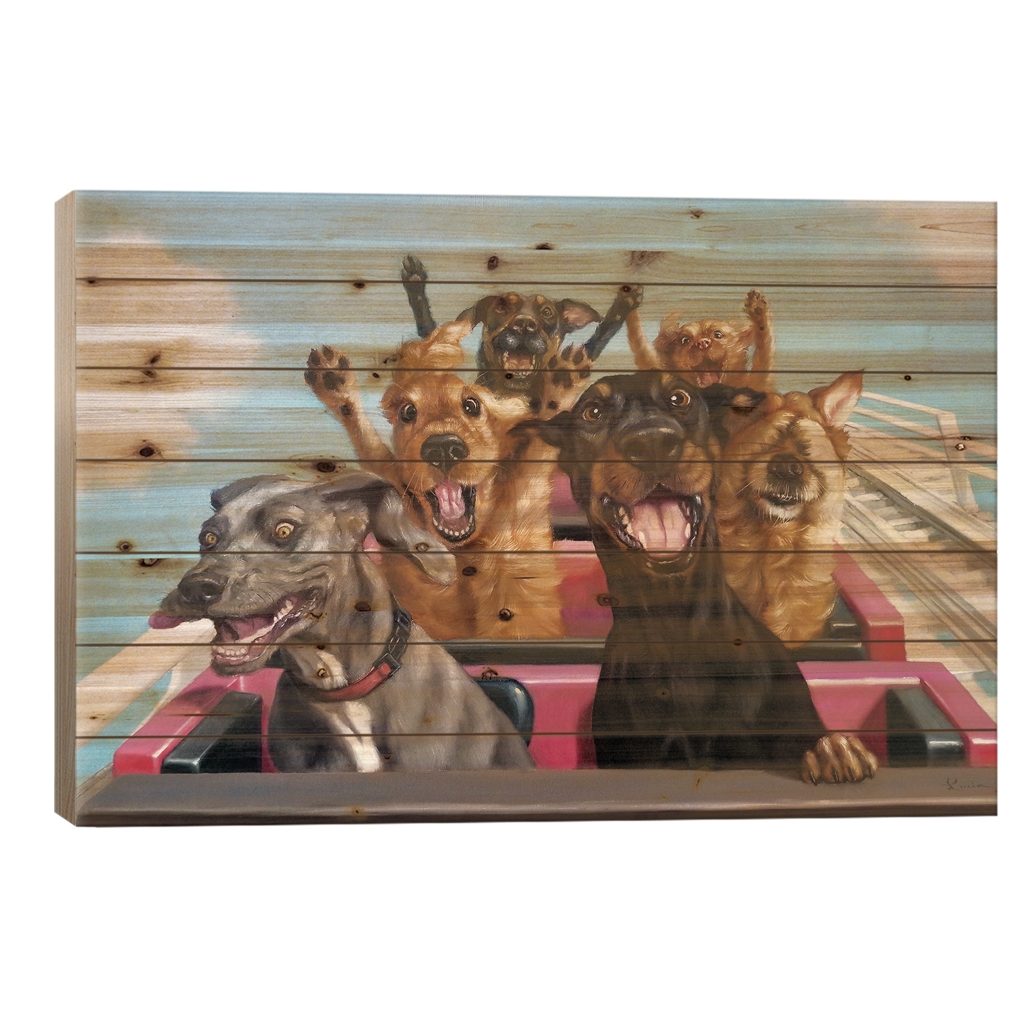 Thrill Seekers Print On Wood by Lucia Heffernan - Multi-Color