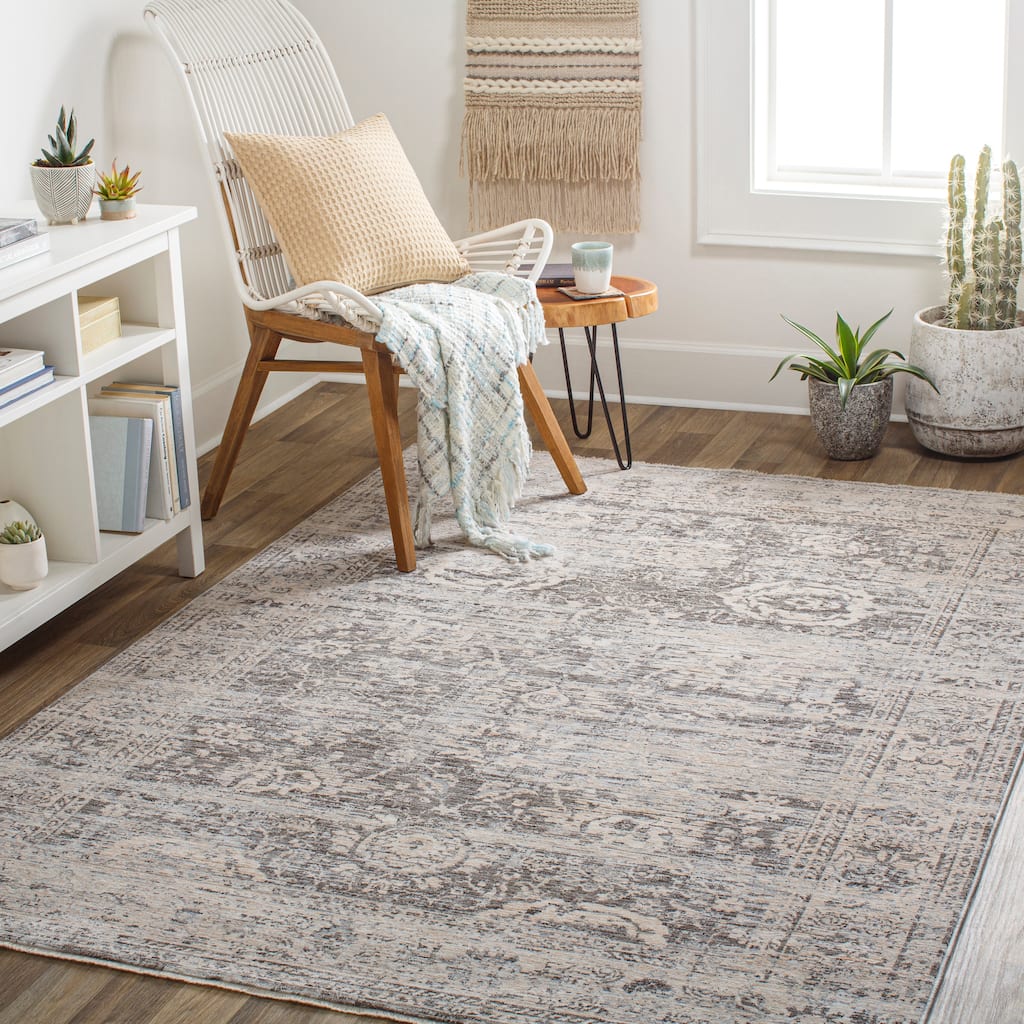 Artistic Weavers Patshah Vintage Distressed Area Rug