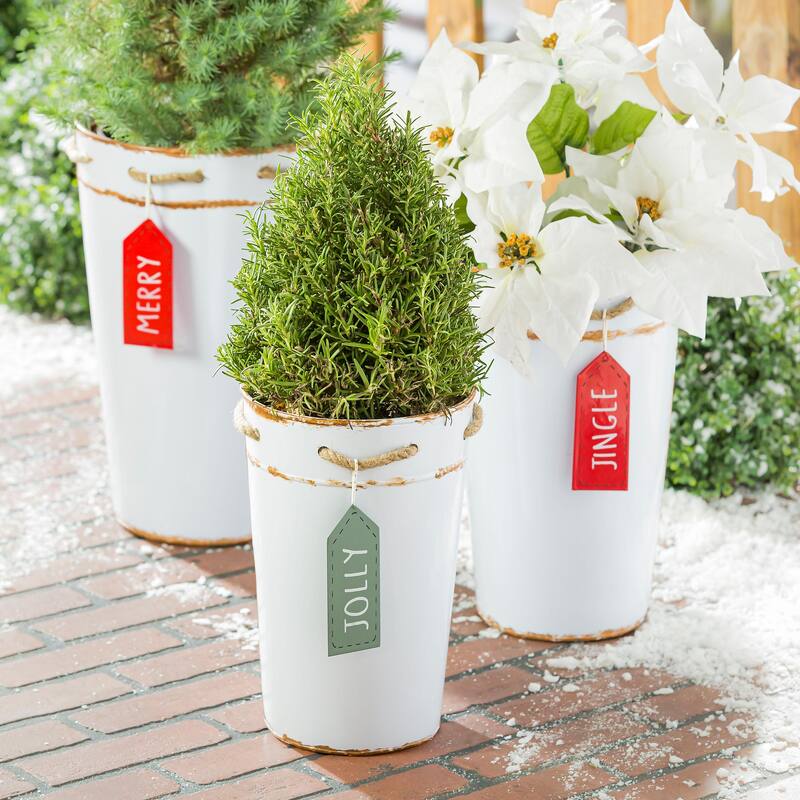 French Bucket with Holiday Tag on Robe Metal Planter (3-Pack)
