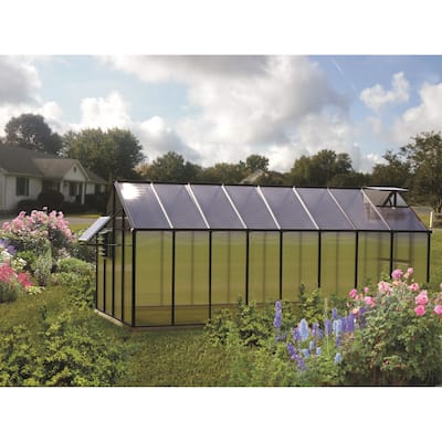 MONT 8 ft x 16 ft Mojave Edition Black Finish Greenhouse with Heater