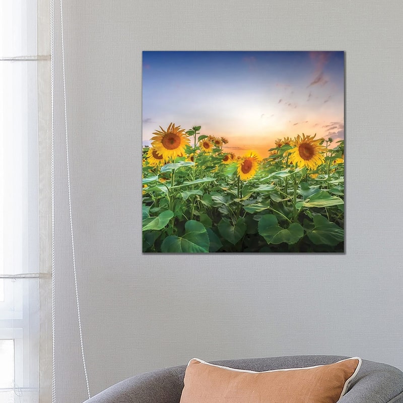 iCanvas "Sunflowers - Lovely Evening Mood" by Melanie Viola Canvas Print - 26x26x1.5