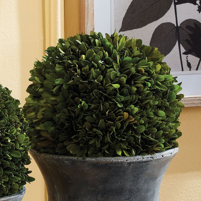 Boxwood Ball 12" - Green