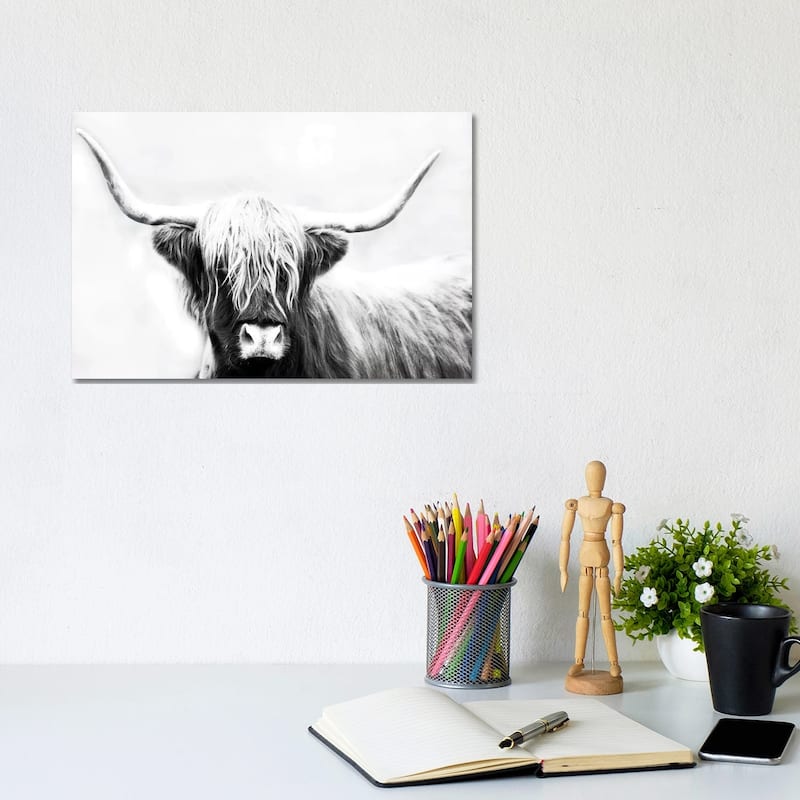 iCanvas "Highland Longhorn" by Danita Delimont Canvas Print - 8x12x0.75