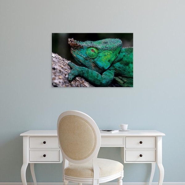 Easy Art Prints Daisy Gilardini's 'Chameleons' Premium Canvas Art