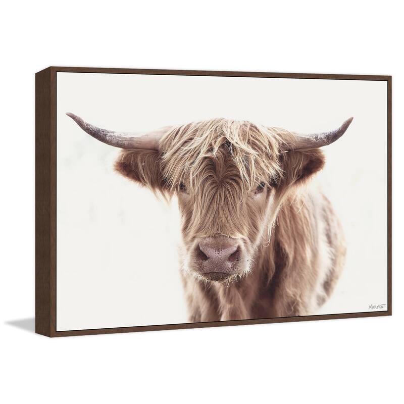 Hairy Face Floater Framed Print on Canvas