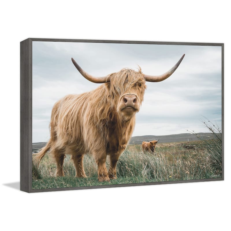 Grazing Cattles Floater Framed Print on Canvas
