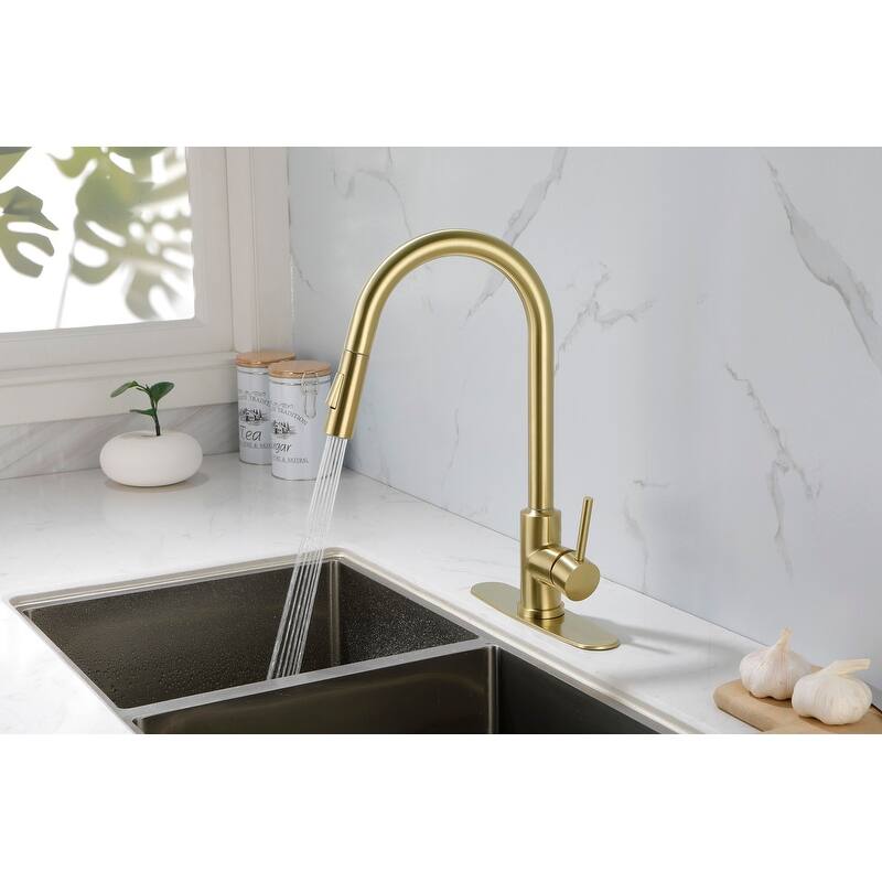 Kitchen Faucet with Pull Down Sprayer