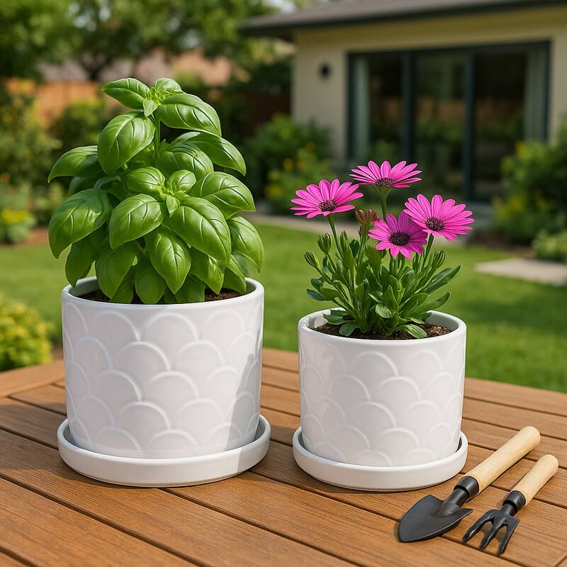 Ceramic Scallop Embossed Planters - Set of 2, 12",10", White - 11.75"
