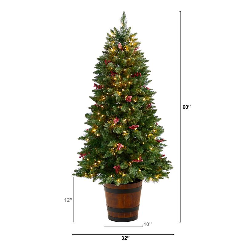 5' Frosted Colorado Aspen Pre-Lit Christmas Tree with 200 LED lights - 60