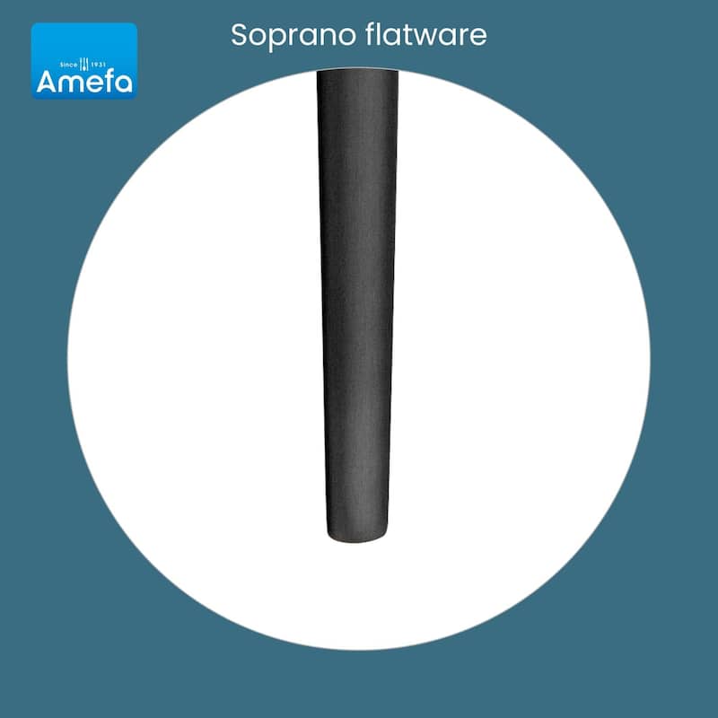 Amefa Soprano 20 piece Flatware Set