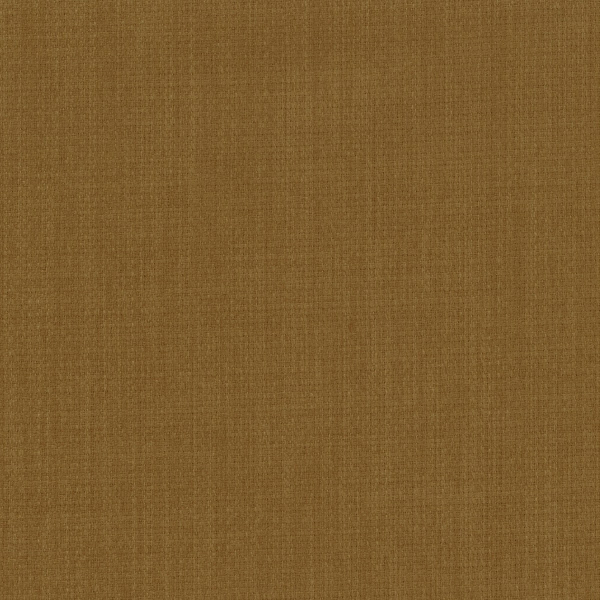 Option Wheat