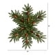 preview thumbnail 2 of 1, 30" Pre-Lit Snowflake Dunhill Fir Wreath with Pinecones and 40 Lights - Green - 30