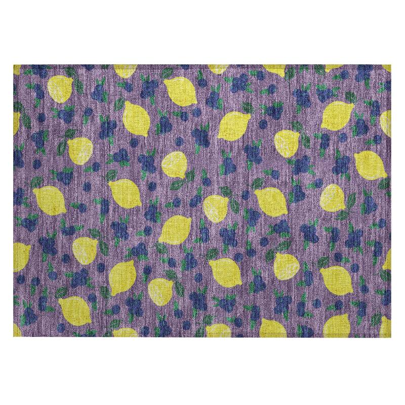Machine Washable Indoor/ Outdoor Citrus Berry Chantille Rug