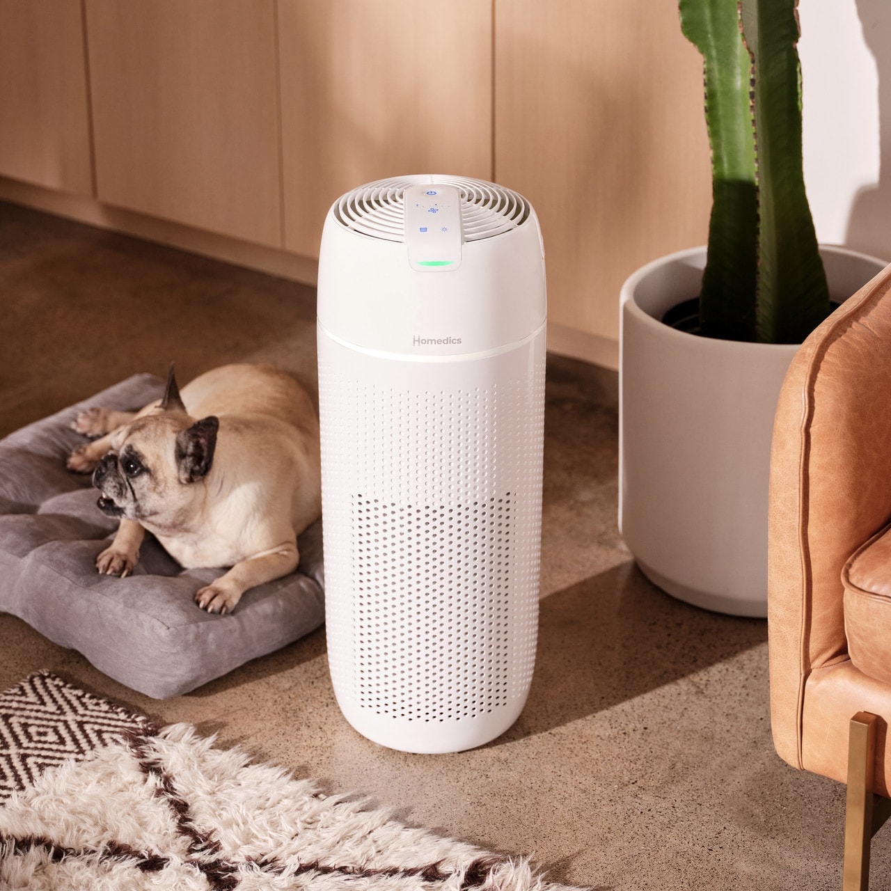 Bed bath and beyond shop homedics air purifier