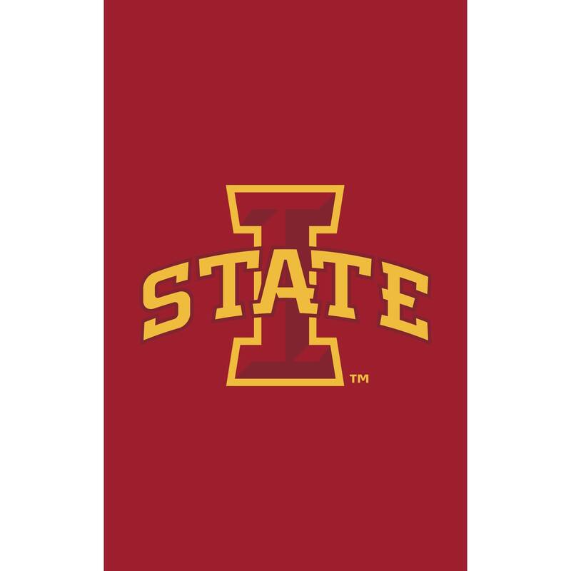 Applique Flag, House Size, Iowa State University