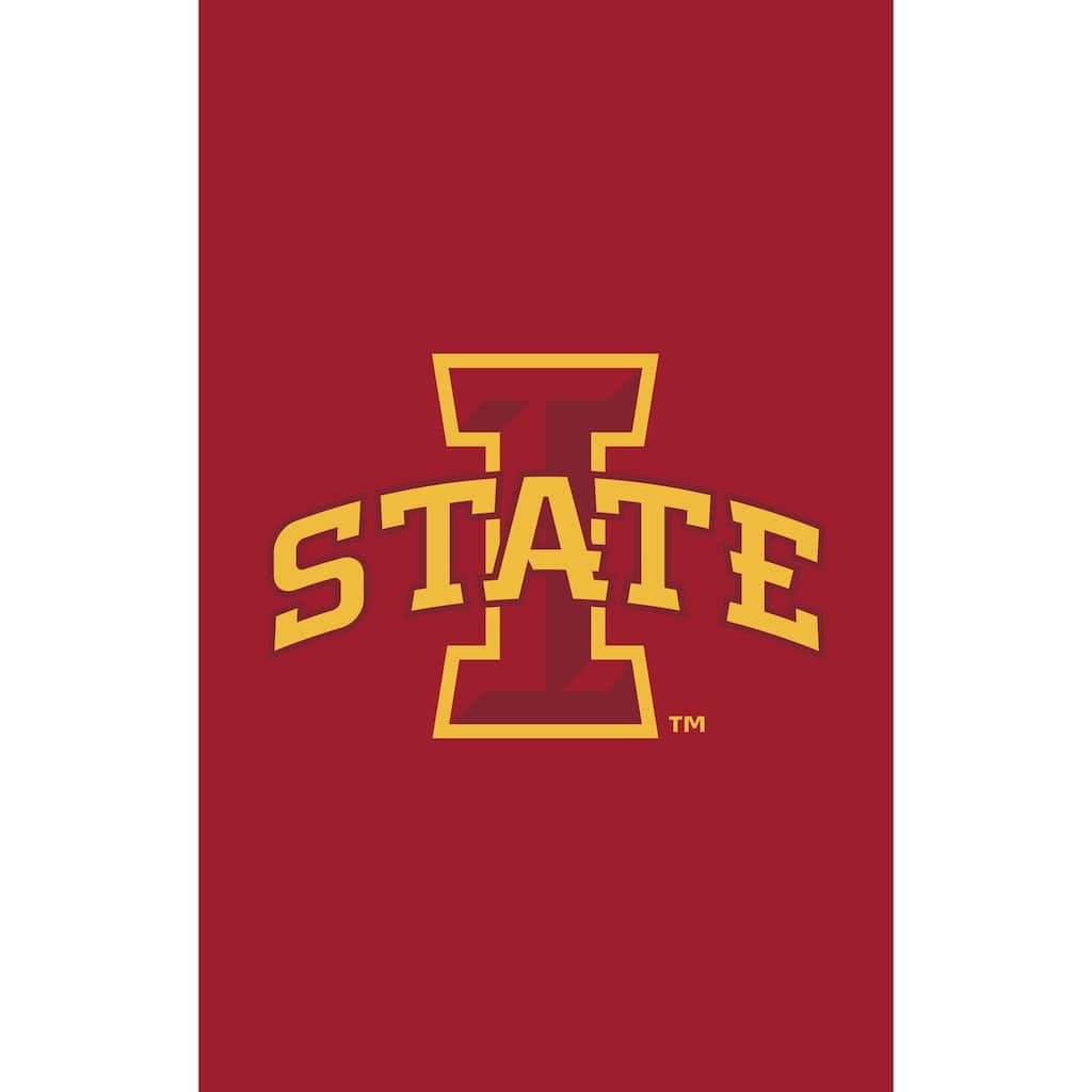 Applique Flag, House Size, Iowa State University