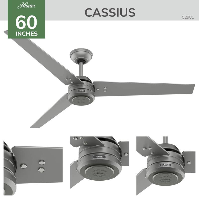 Hunter 60" Cassius ENERGY STAR® Ceiling Fan and Wall Control - Damp Rated - Farmhouse, Transitional, Industrial, Casual