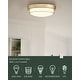 preview thumbnail 5 of 12, 12 Inch 2-Light Flush Mount Light Fixture, Modern Ceiling Light