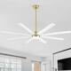 Option GoldWhite