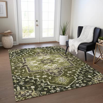 Machine Washable Indoor/ Outdoor Persian Traditional Chantille Rug