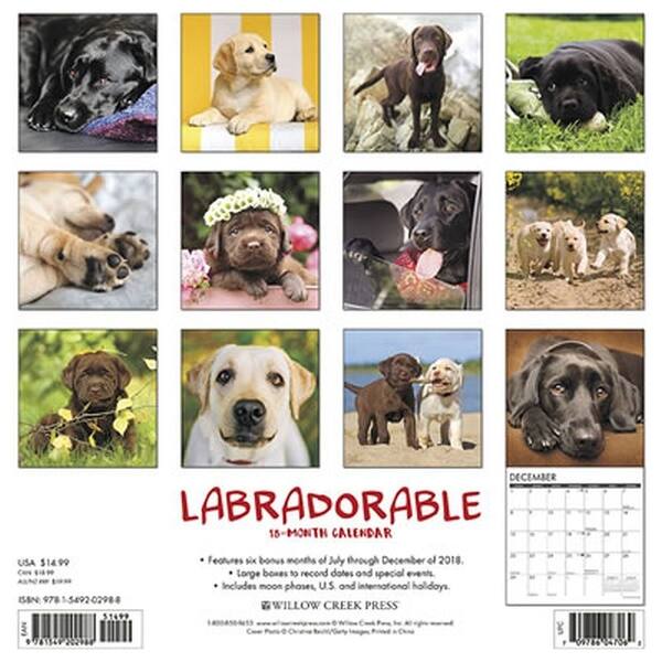 Shop 2019 Labradorable Wall Calendar Labrador Retriever By Willow