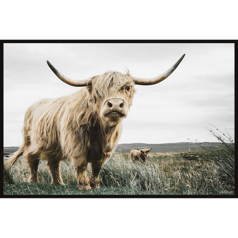 Roaming Cattle Floater Framed Print on Canvas