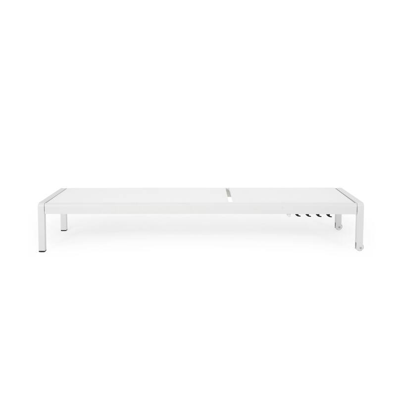 Roomfitters Adjustable Outdoor Chaise Lounge Chair, Modern Patio Recliner with Aluminum Frame