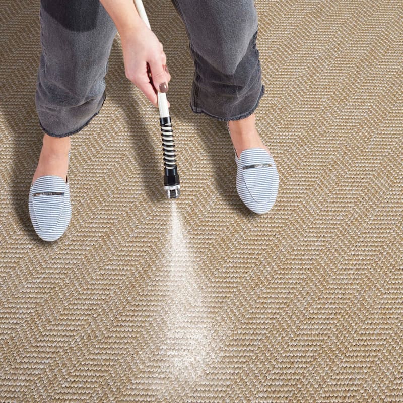 SAFAVIEH Sisal All-Weather Aoife Transitional Indoor/Outdoor Rug