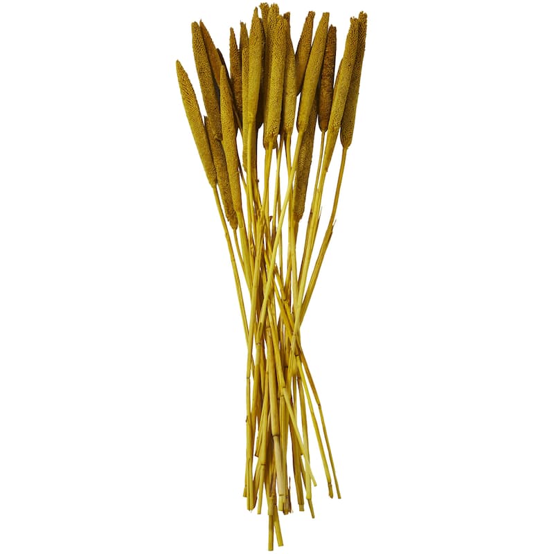 Dried Plant Bunny Tail Home Decor Natural Foliage - White, Red, Dark Brown, Orange, Green, Pink, Yellow - Roche River Decor