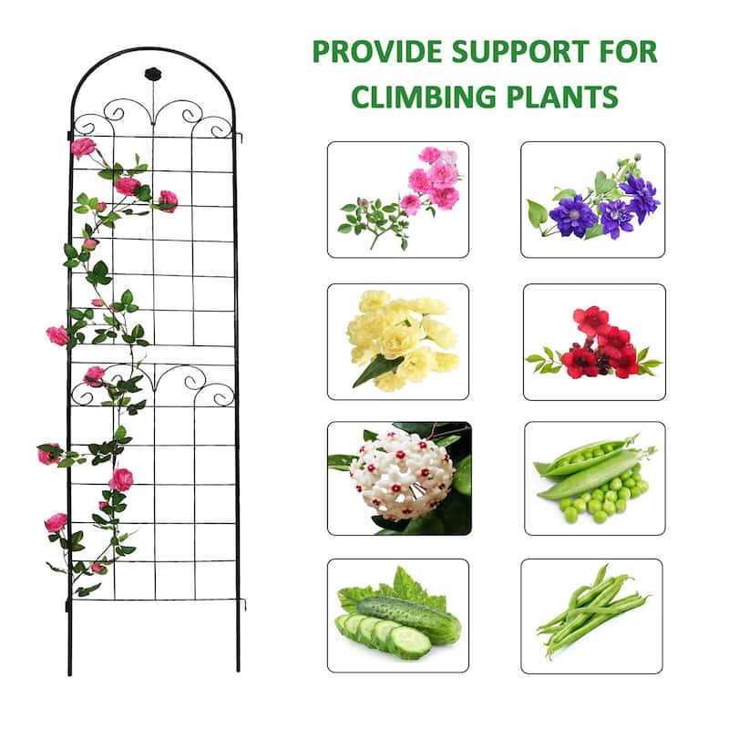 4 Pack Metal Garden Trellis for Climbing Plants Outdoor Rustproof Plant Support Rose Trellis Netting Trellis Black