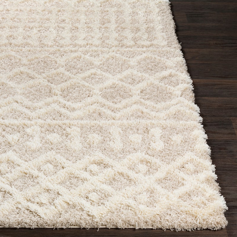 Artistic Weavers Newton Geometric Moroccan Trellis Shag Area Rug