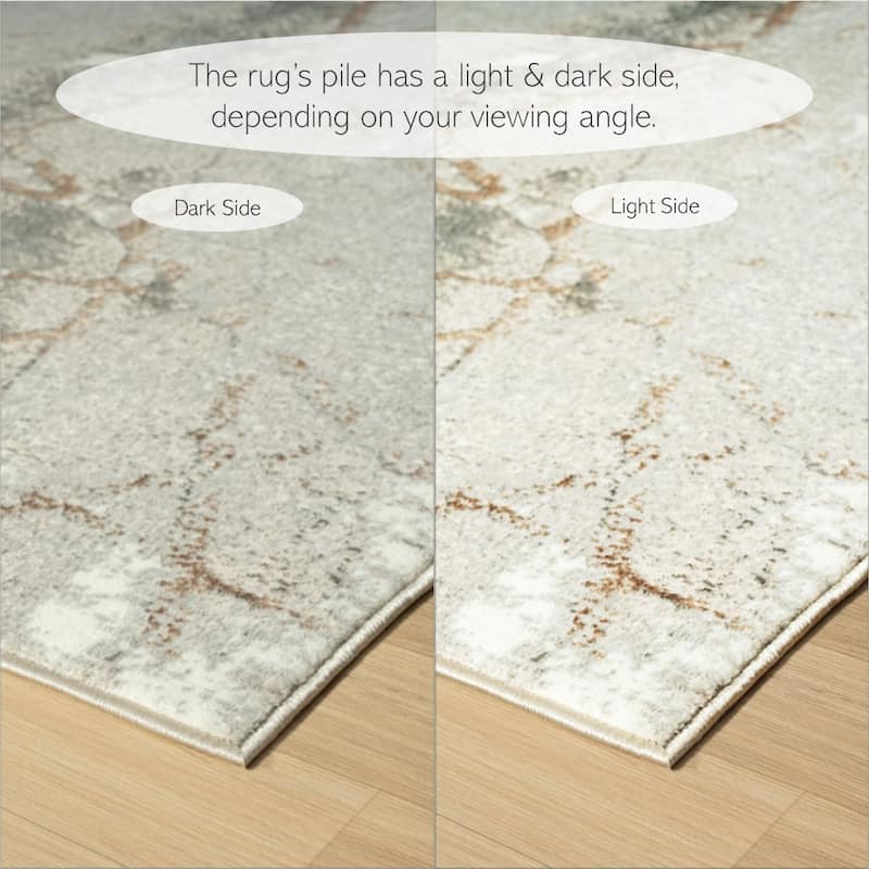 Sevita Transitional Abstract Polyester Indoor Area Rug
