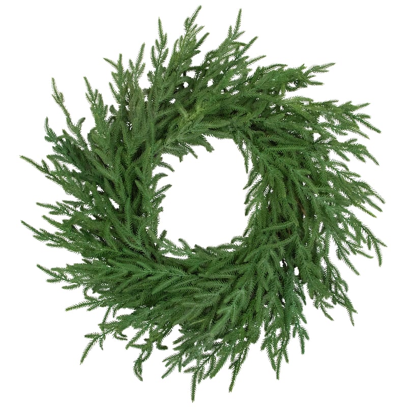 Norfolk Pine Artificial Christmas Wreath - 26" - Unlit