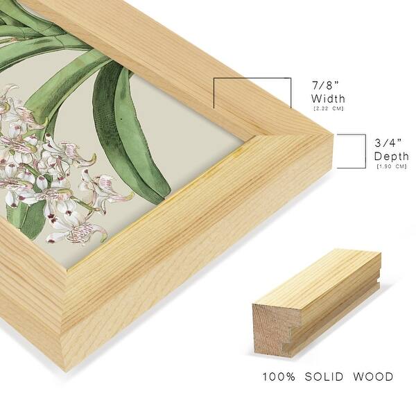 dimension image slide 9 of 15, Orchid Blooms I -Framed Print w/glass-Cherry Red