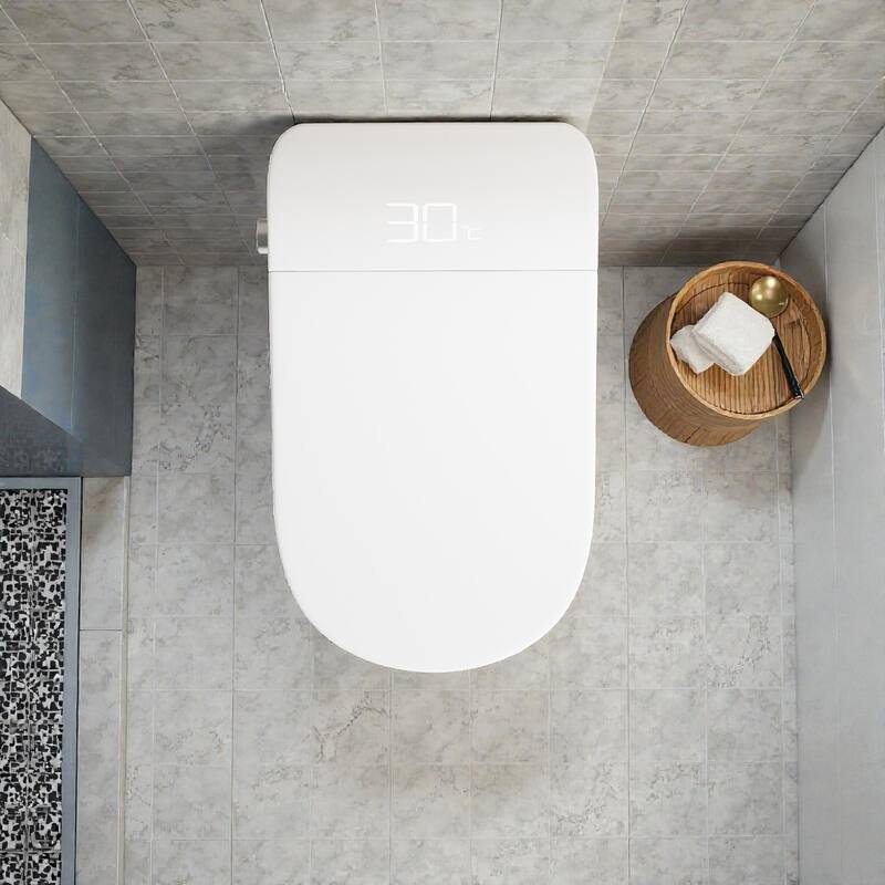Smart One Piece Toilet with Built In Bidet. Auto Open Close Seat. Heated Seat. Warm Water. Dryer. Remote Control