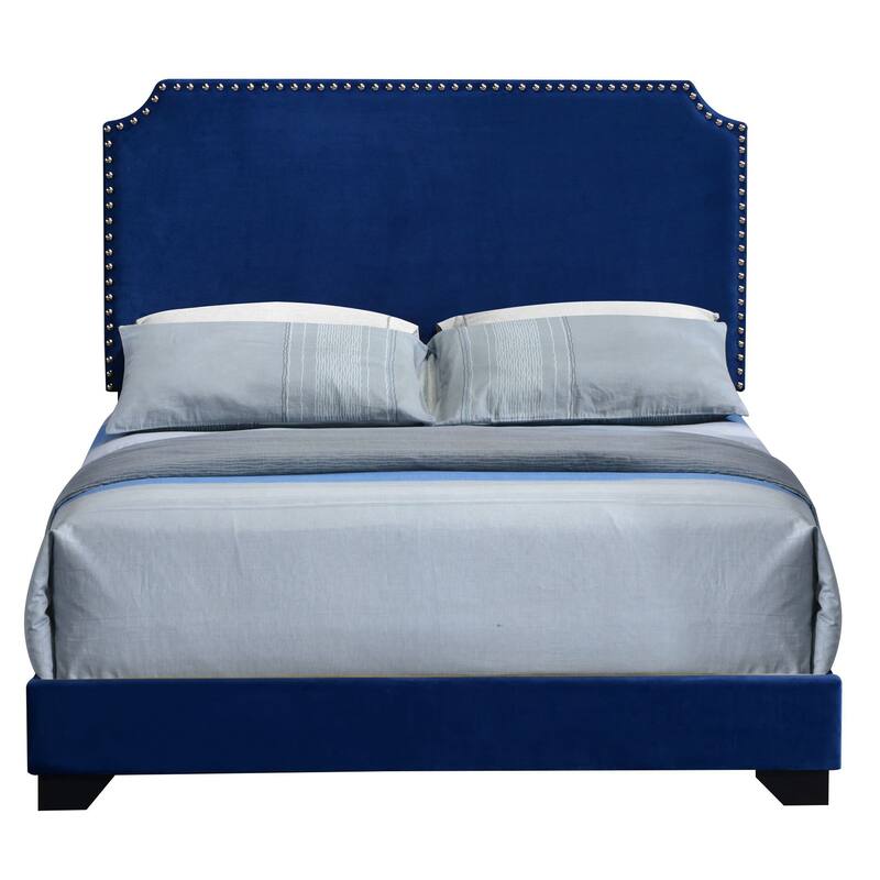 Queen Size Blue Velvet Upholstered Panel Bed with Scooped Headboard