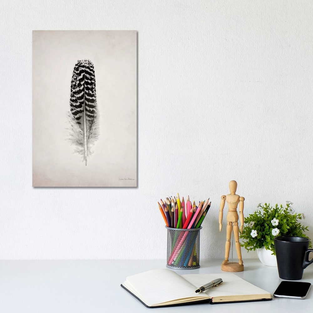iCanvas "Feather I" by Debra Van Swearingen Canvas Print