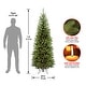 National Tree Company 6.5-ft. Pre-Lit Dunhill Fir Artificial Christmas Tree