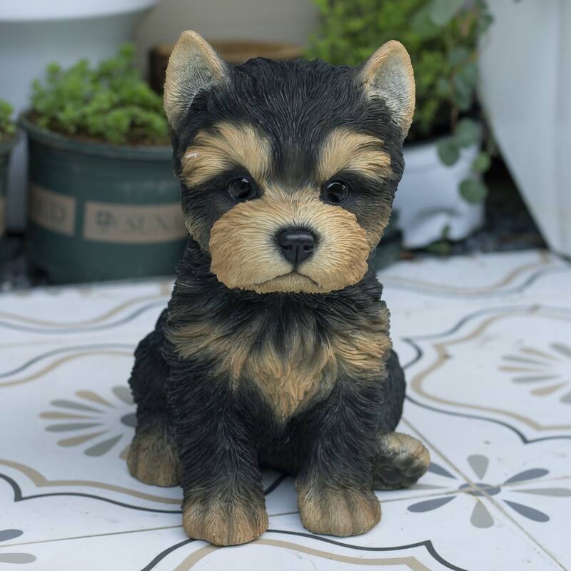 Sitting Baby YorkTerrier Outdoor Garden Statue - 10"