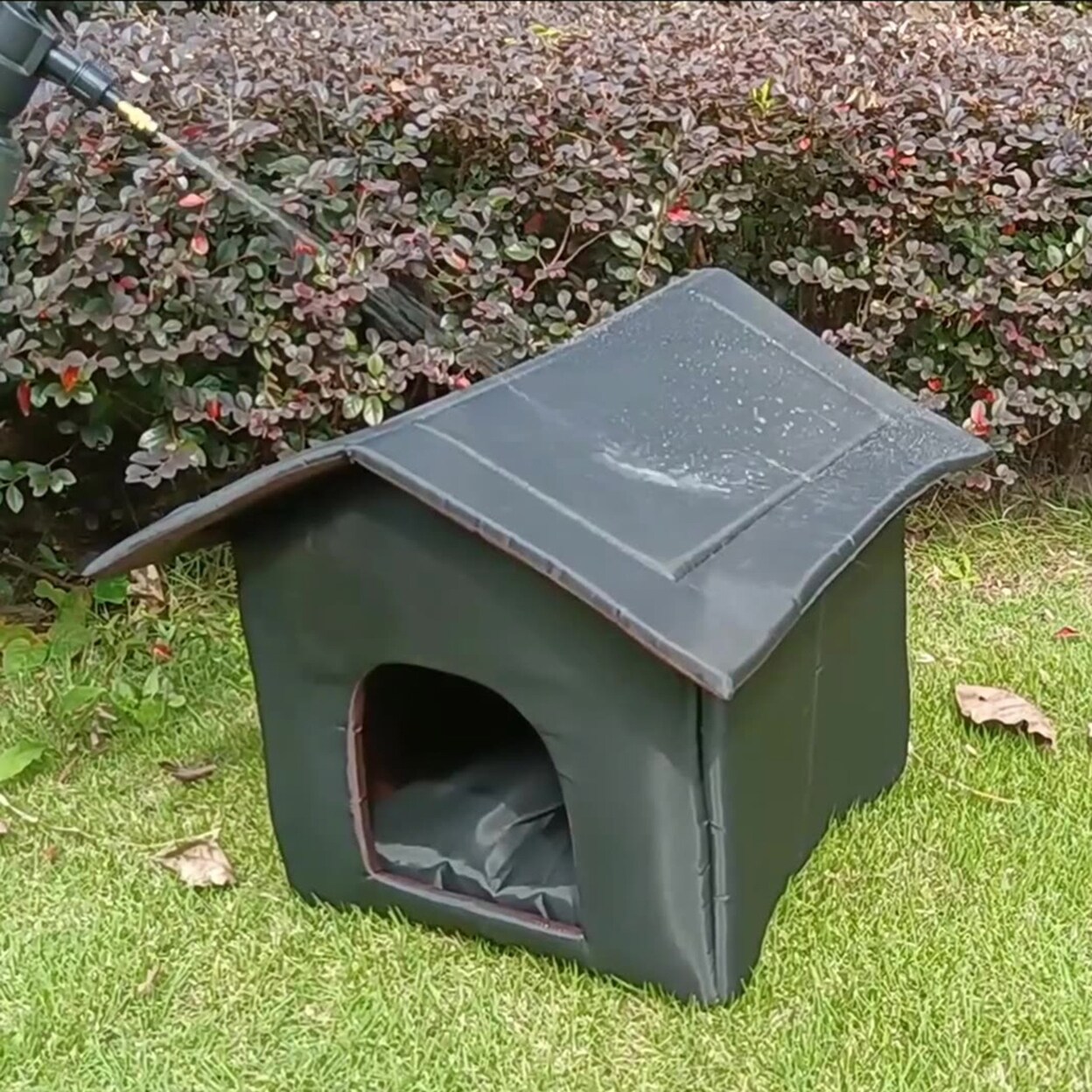 cloth dog house