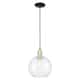 Option Clear / Black Antique Brass