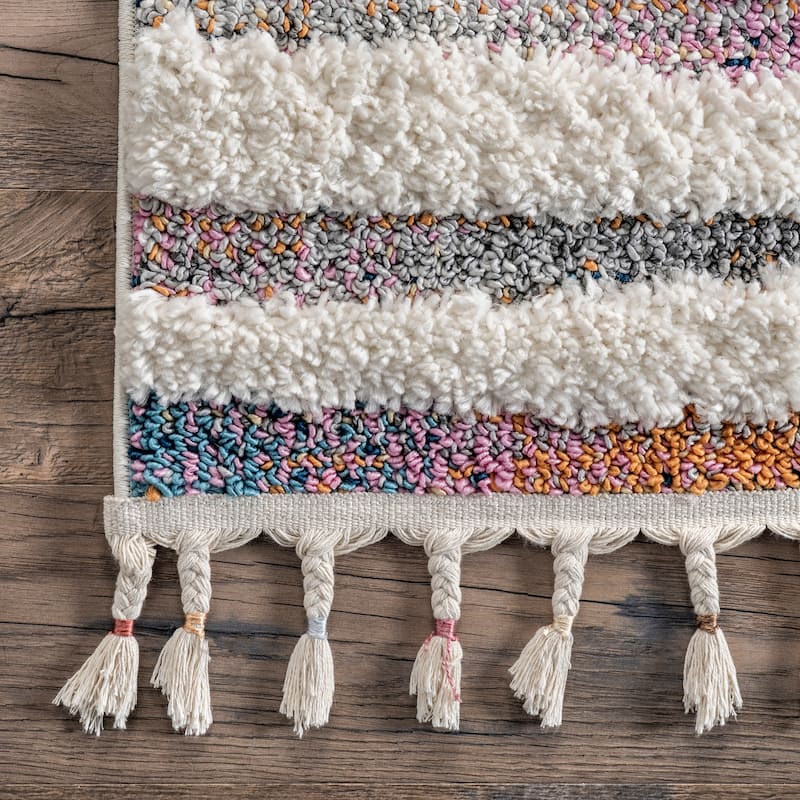 Nuloom Jodie Rainbow Zebra Braided Tassle Area Rug