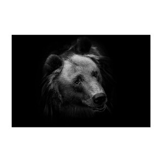 Photography Animals Bear Portrait Art Print/Poster - Bed Bath & Beyond ...