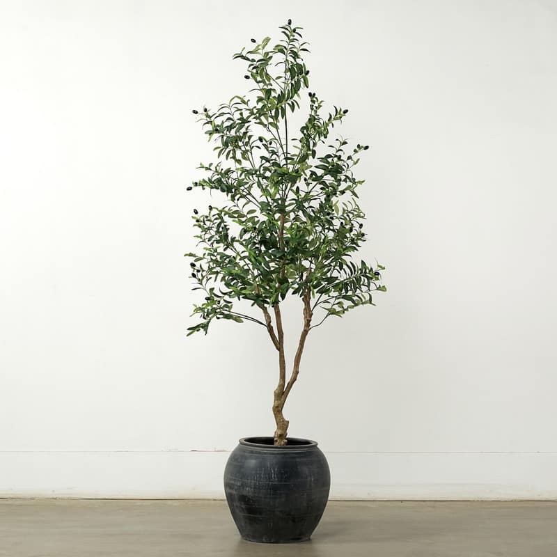 Approx. 83 Inches High Artificial Olive Tree